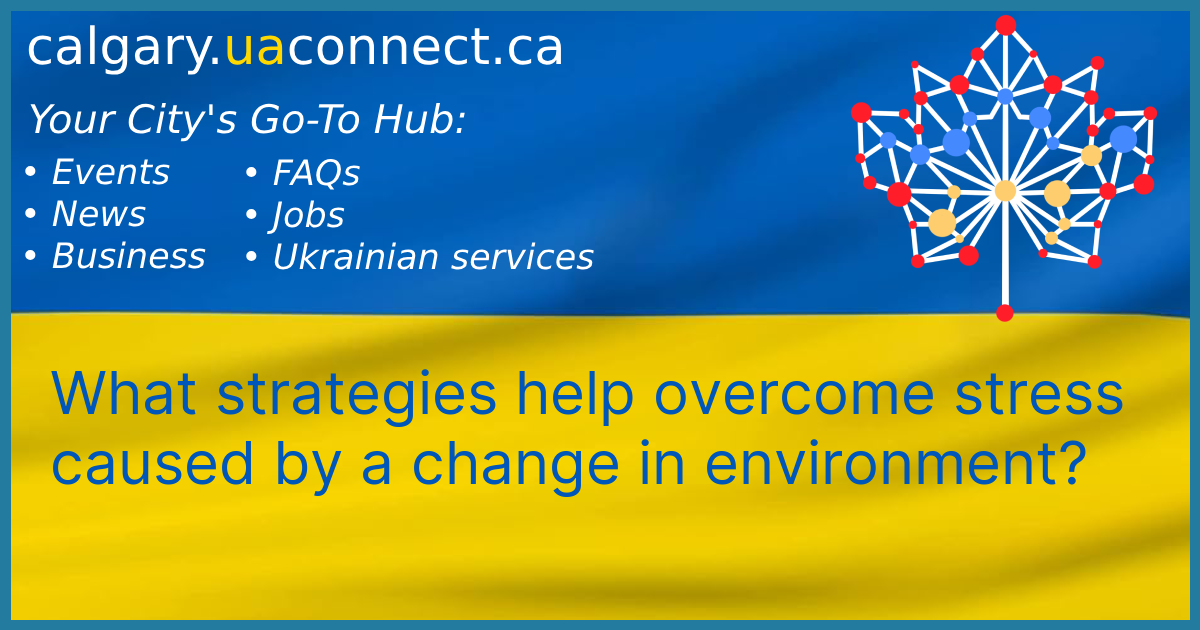 Change your environment to reduce stress | Calgary News